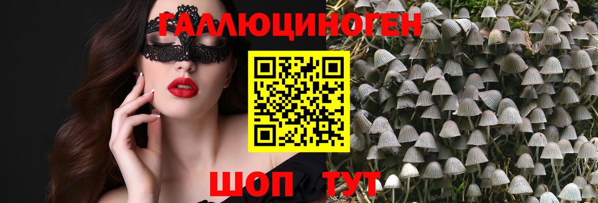 Псилоцибиновые грибы прущие грибы Минеральные Воды